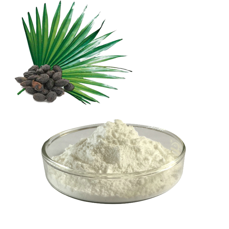 Apa itu Ekstrak Saw Palmetto? Dan apa manfaat Ekstrak Saw Palmetto?