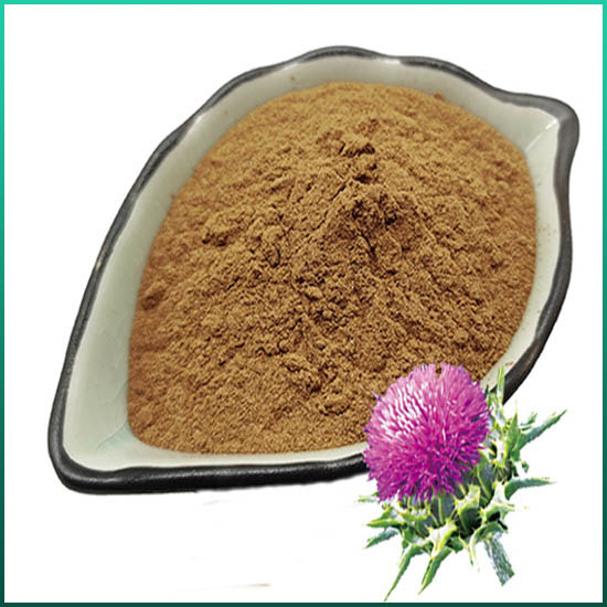 Ekstrak Milk Thistle