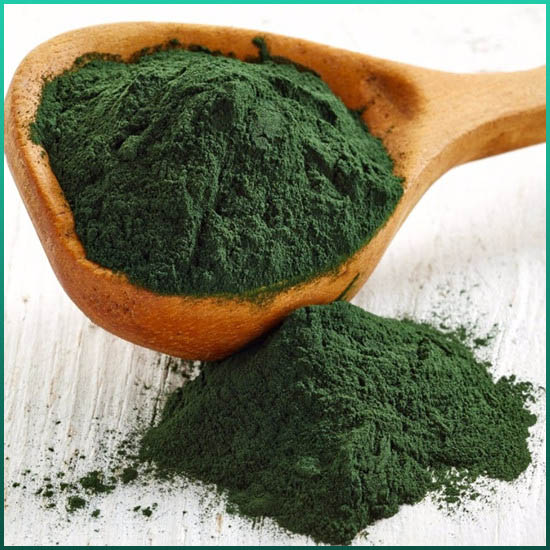 Ekstrak Spirulina